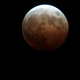 Illustration for article titled Today's Lunar Eclipse Looked Spectacular